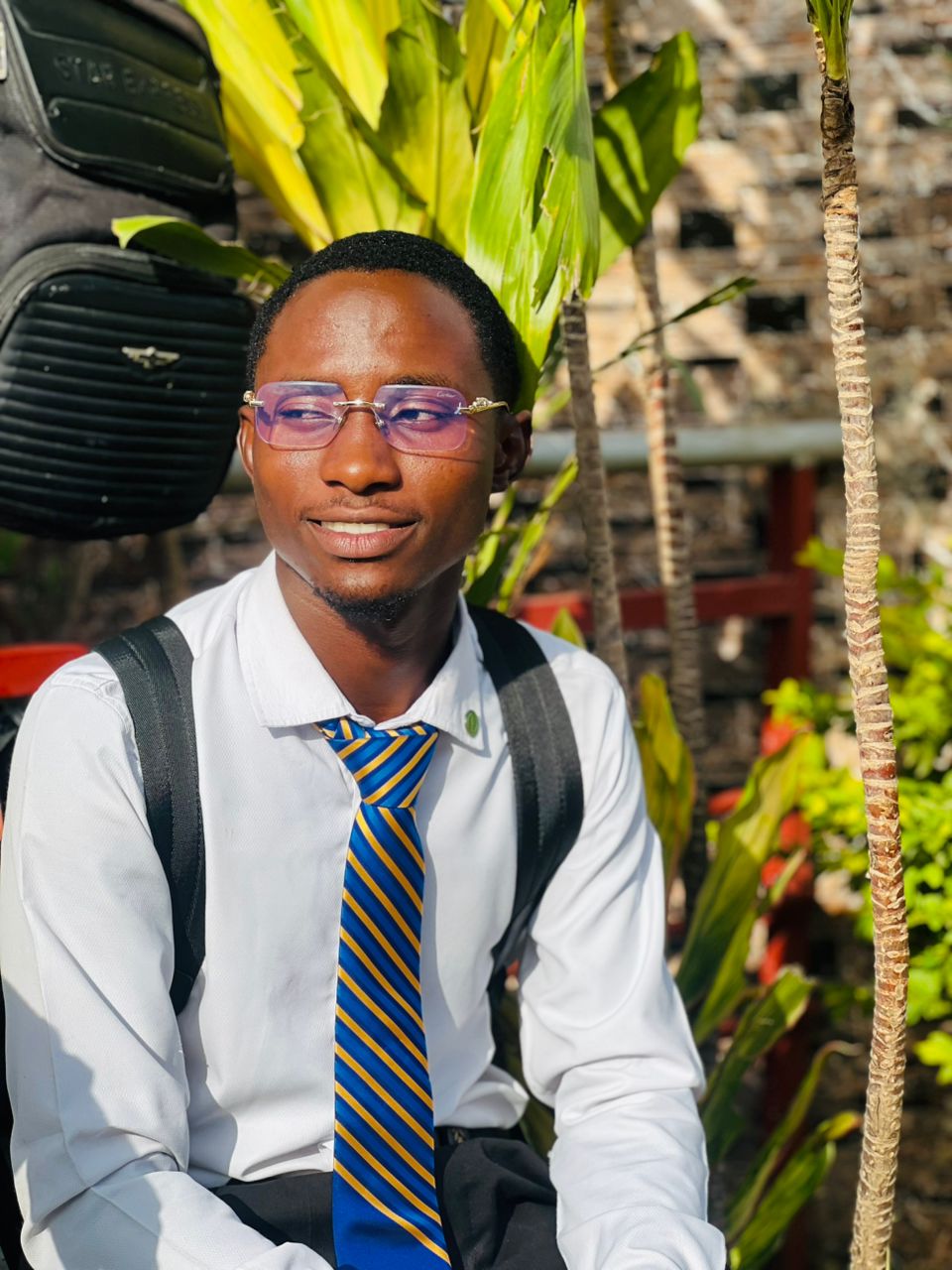 Arisekola Shafihi